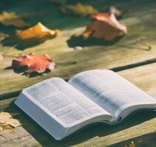 Biblický kurz s P. Angelem "Jak správně vykládat Písmo - Podobenství"